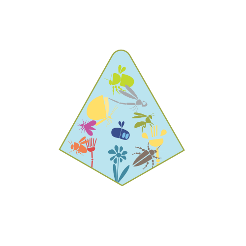 Die Artenvielfalt ist hier als Teil eines Dreiecks der Biodiversität dargestellt, zu dem zwei weitere Teile gehören.