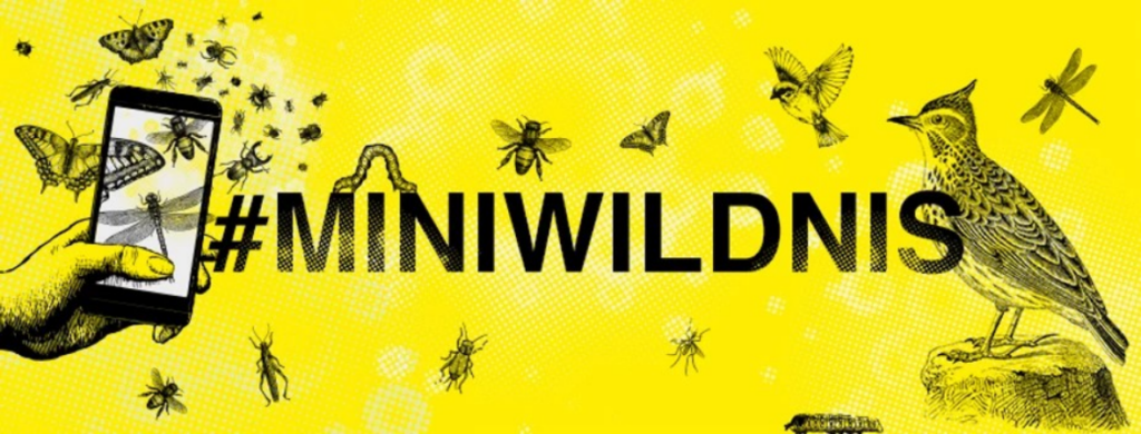 Das Miniwildnis Banner