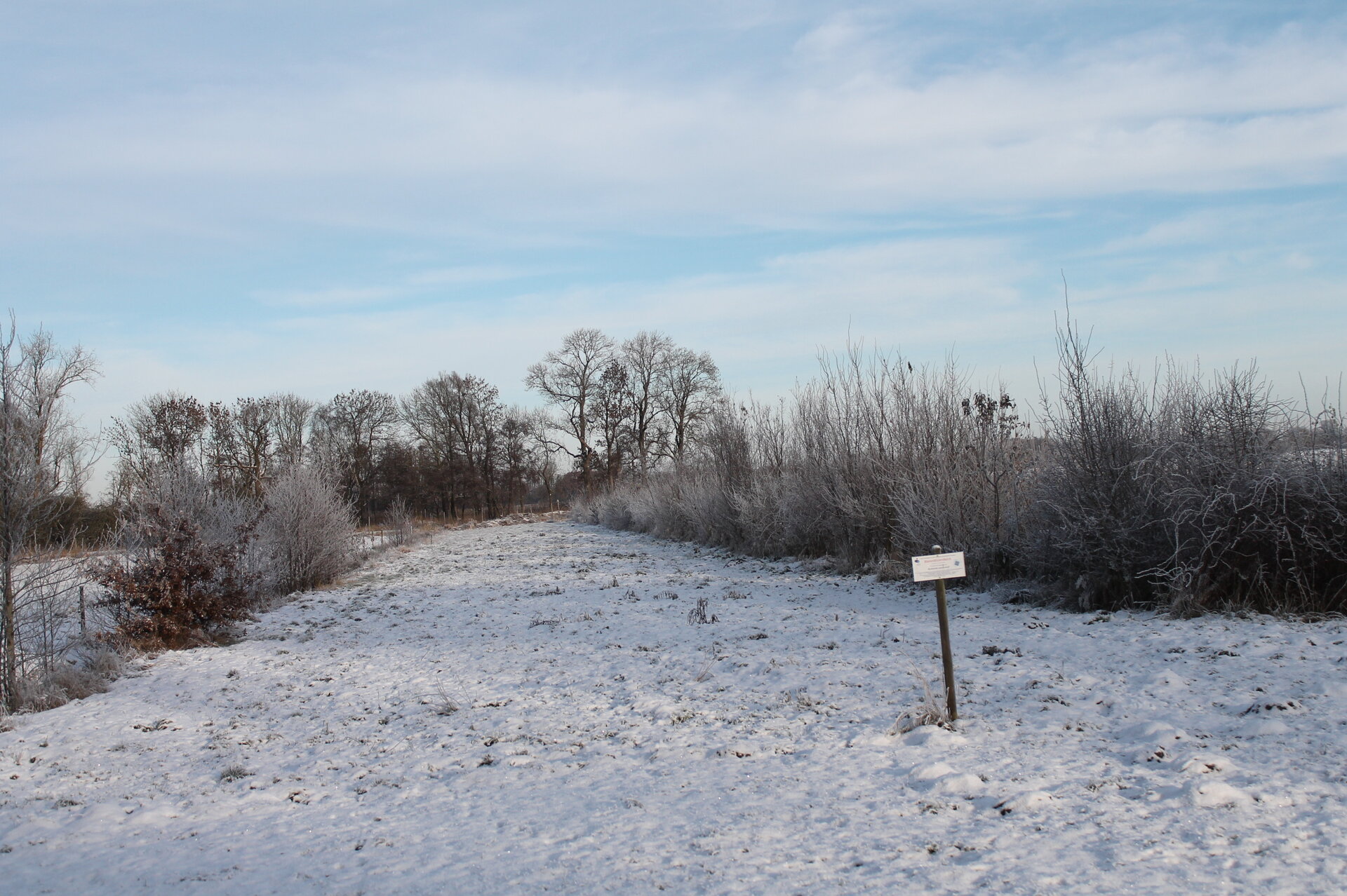 Blühfläche im Winter in Bülkau. Foto: Gotthard Geisler
