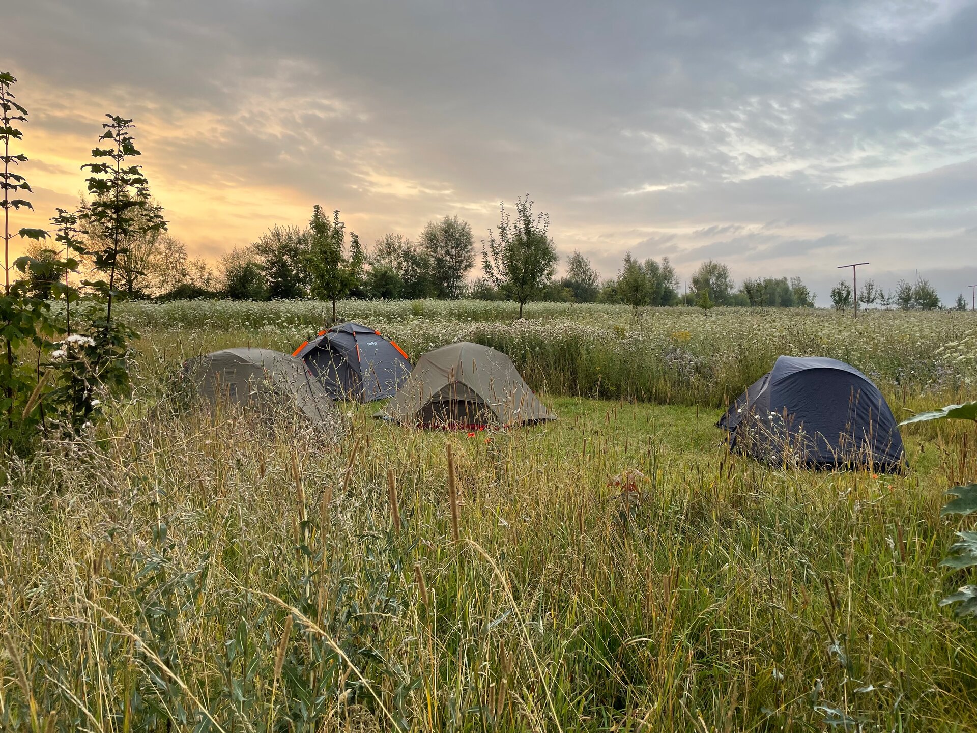 Ein ganz besonderes Erlebnis: Zelten in der Blühfläche. Foto: Linda Trein