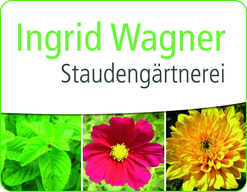 Ingrid_Wagner_2023